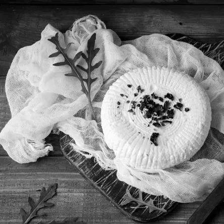 Адыгейский сыр